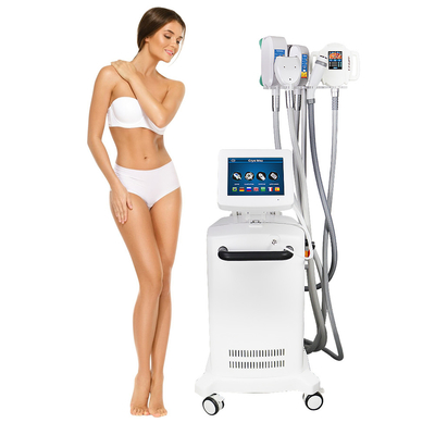 Cryolipolysis دستگاه حذف چربی خنک کننده مجسمه سازی کاهش چربی غیرتهاجمی