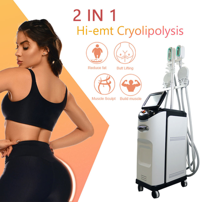 دستگاه Cryolipolyse EMS 360 Cryo Fat Freezing Cellulite Removal