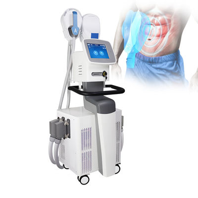 4 Handles EMS EMS SCULPTING Machine CE دارای گواهینامه لاغری بدن عضلات قلدری