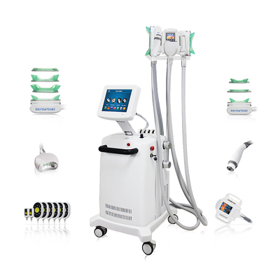 10.4 اینچ رنگ صفحه لمسی Cryo-lipo دستگاه لاغری برای کاهش چربی حرفه ای